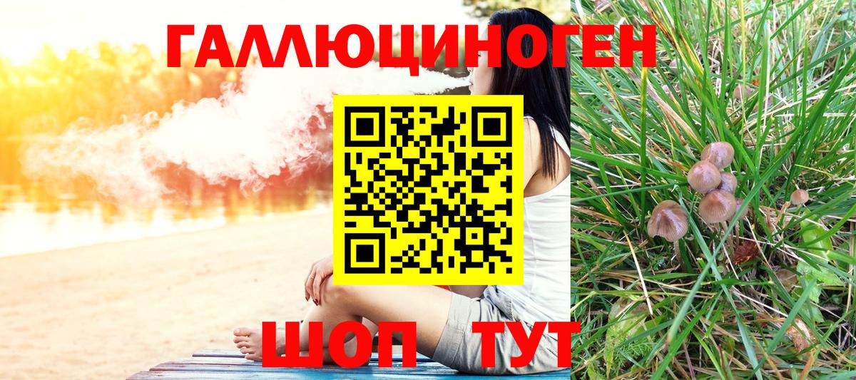 закладка  Галлюциногенные грибы MAGIC MUSHROOMS  Вход с VPN  Ставрополь 